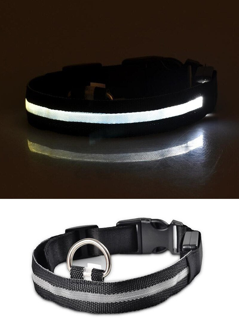 LED Light-Up Dog Collar — Glow in the Dark Safety Collar for Night Walks