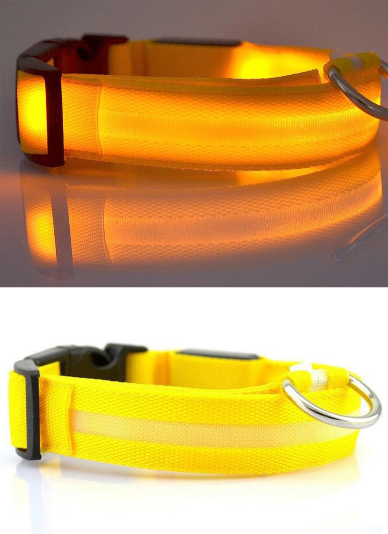 LED Light-Up Dog Collar — Glow in the Dark Safety Collar for Night Walks