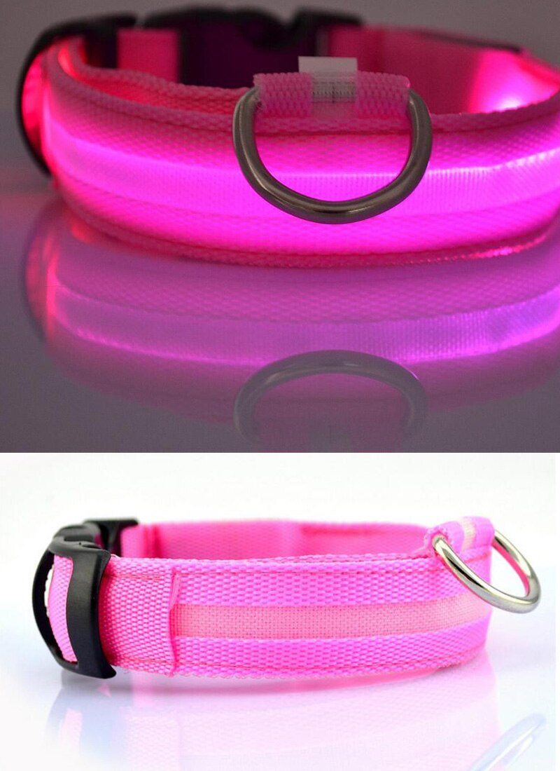 LED Light-Up Dog Collar — Glow in the Dark Safety Collar for Night Walks