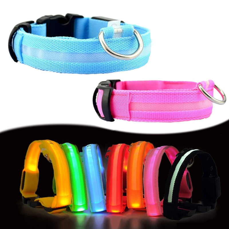 LED Light-Up Dog Collar — Glow in the Dark Safety Collar for Night Walks