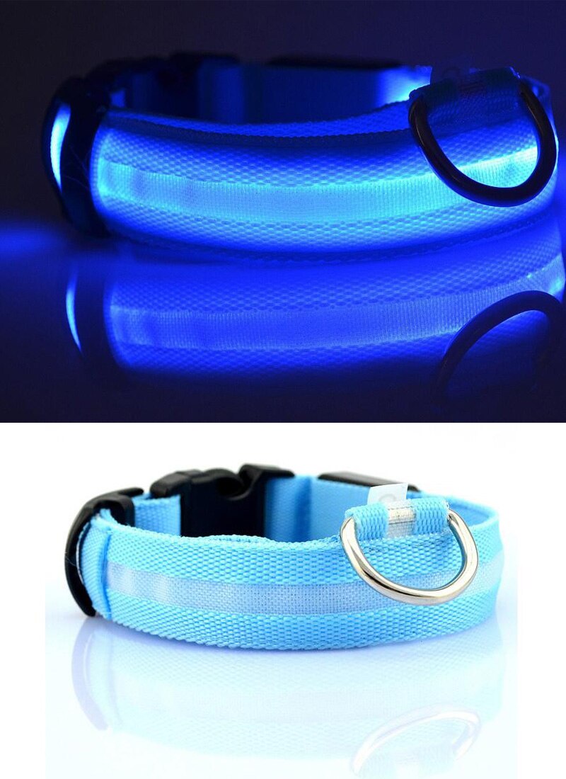 LED Light-Up Dog Collar — Glow in the Dark Safety Collar for Night Walks