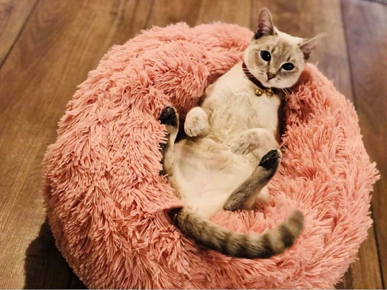 Calming Donut Dog Bed — Ultra-Soft Plush for Anxious Pets