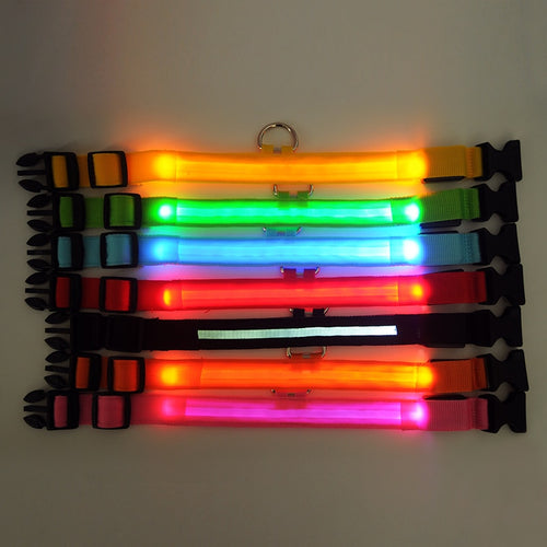 LED Light-Up Dog Collar — Glow in the Dark Safety Collar for Night Walks