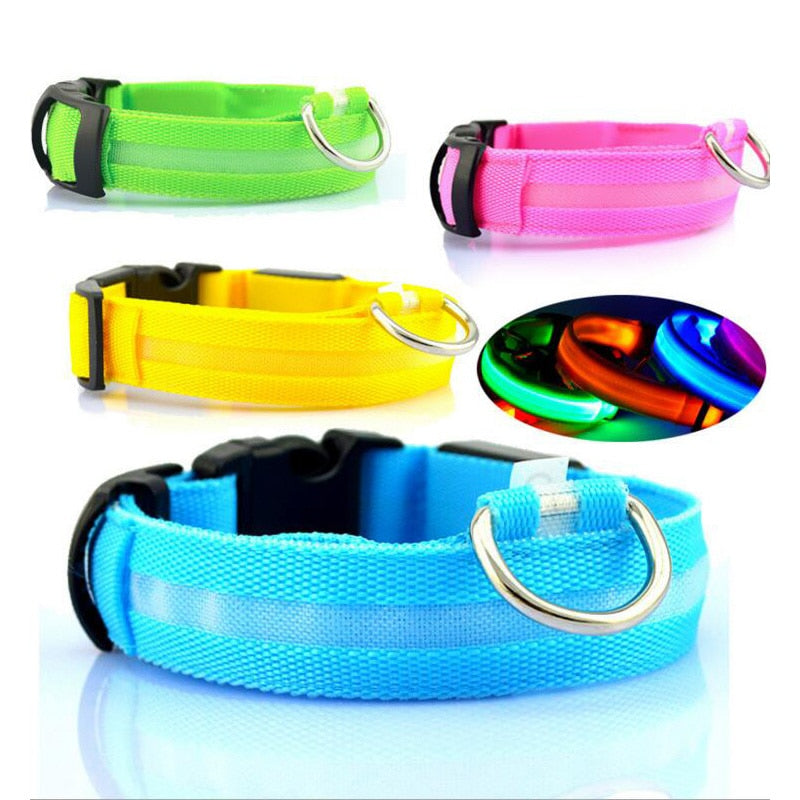 LED Light-Up Dog Collar — Glow in the Dark Safety Collar for Night Walks