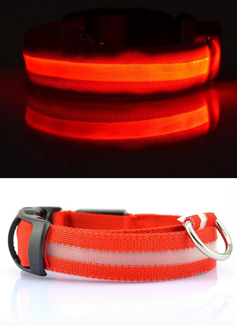 LED Light-Up Dog Collar — Glow in the Dark Safety Collar for Night Walks