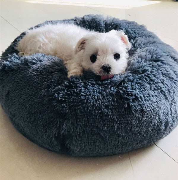Calming Donut Dog Bed — Ultra-Soft Plush for Anxious Pets