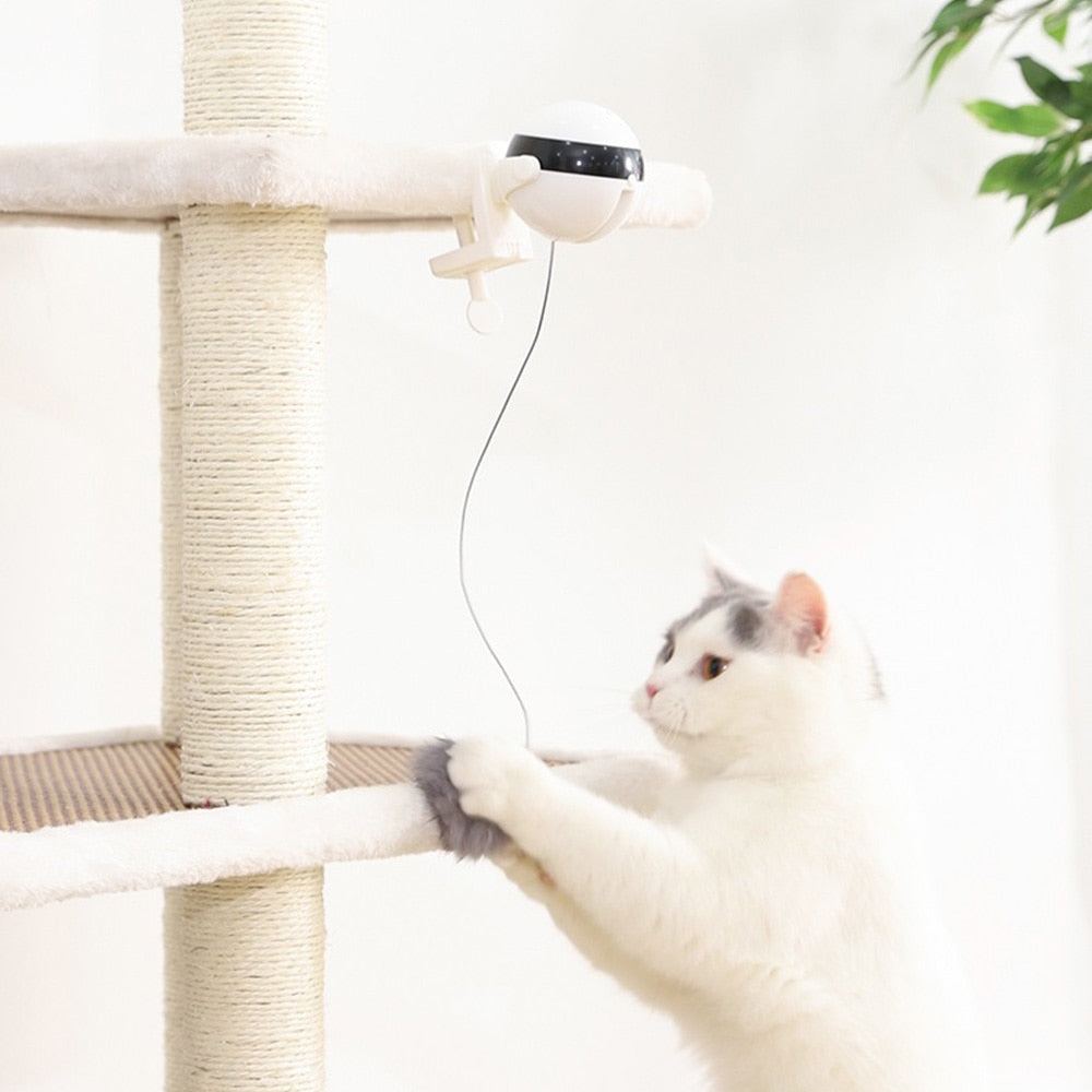Smart Interactive Cat Toy Ball — Automatic Electric Feather Teaser