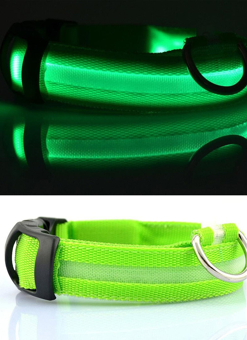 LED Light-Up Dog Collar — Glow in the Dark Safety Collar for Night Walks