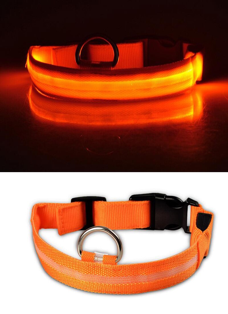 LED Light-Up Dog Collar — Glow in the Dark Safety Collar for Night Walks
